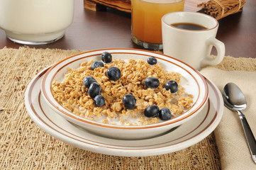 Organic granola