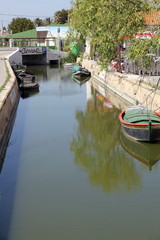 Fototapeta premium La Albufera nature reserve, El Palmar, Valencia, , Spain.