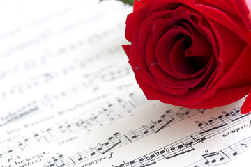 Red rose on musical score
