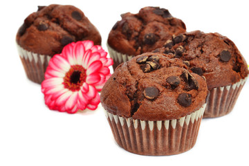Four  chocolate muffins and flower