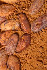 cacao baclground