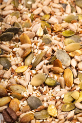 seeds background
