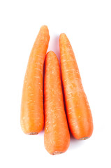 Carrot