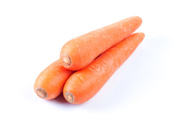 Carrot