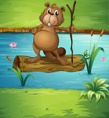 A beaver holding a wood in the river