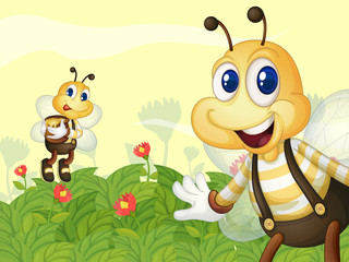 Honeybees in the garden