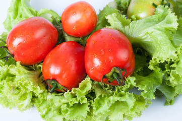 Green vegetables and tomatoes