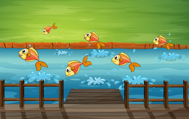 Un banc de poissons