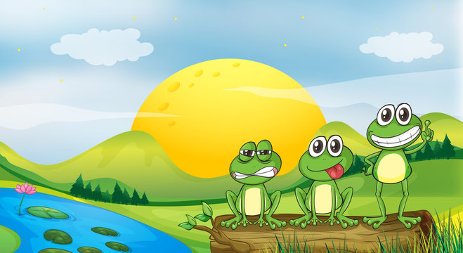 Three frogs at the riverbank