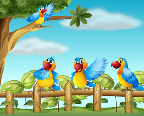 Kleurrijke papegaaien in de omheinde tuin