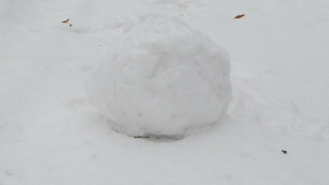 woman roll snowball snow ball make snowman winter park