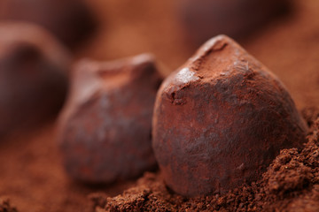 chocolate truffles