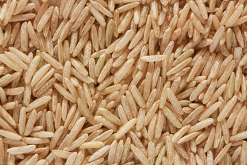 Uncoocked raw brown rice