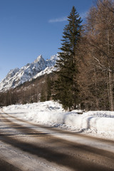 Strada in Val Ferret, Courmayeur, Valle d'Aosta, Italia