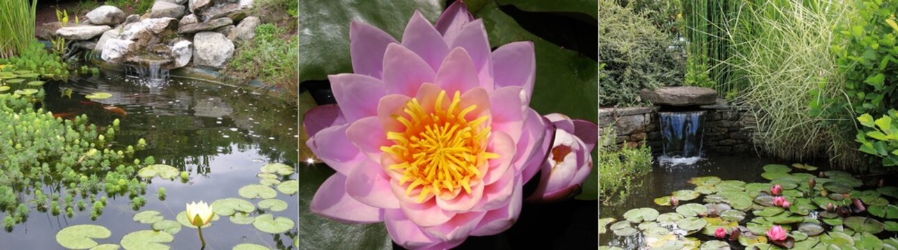 triptyque sur jardin aquatique zen et de l'eau