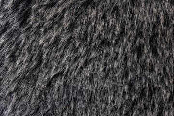 Dark fur