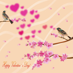 love birds, sakura, spring, Valentine's Day.