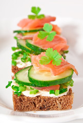 Appetizing sandwich with salmon