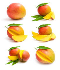 mango collection
