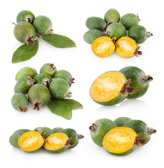 collection of feijoa images