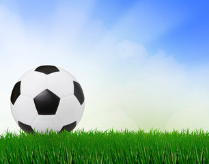 soccer football on green field with blue sky background