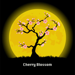 Sakura tree at night.