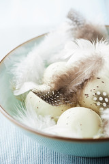 Bowl of spotted easter eggs and feathers