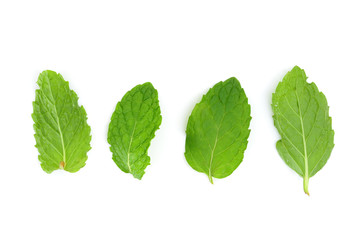 Obraz na płótnie Canvas Mint leaf