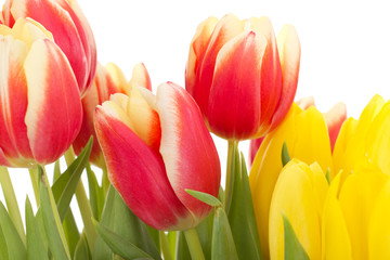 Bunch of tulips