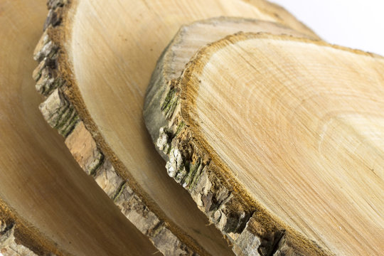 close-up wooden cut texture