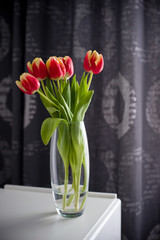 Tulips in a Vase