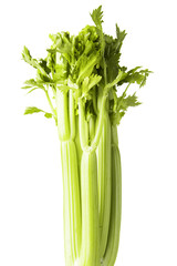 Celery