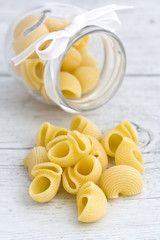 Italian pasta - Lumache, conchiglie