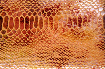 Close-up of snakeskin leather