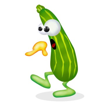 zucchina curiosa
