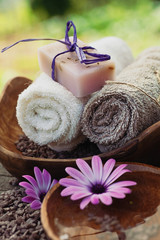 violet dayspa nature set