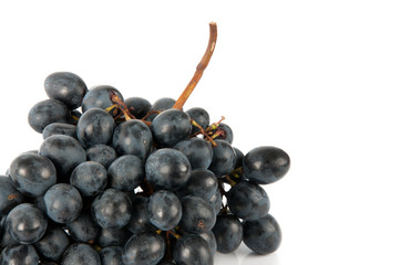 large bunch of dark grapes