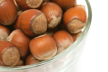 hazelnuts in a bowl
