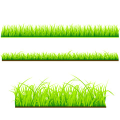 set of 3 different grass types