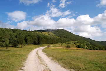 Fototapeta na wymiar Droga w górach
