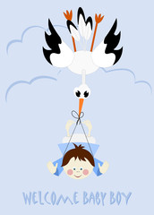 Baby Boy and stork - welcome baby boy
