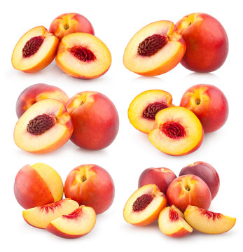 collection of nectarines images