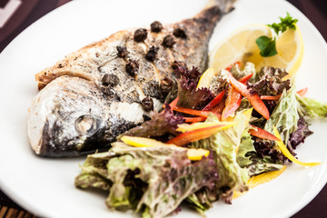Gilt-head bream fish