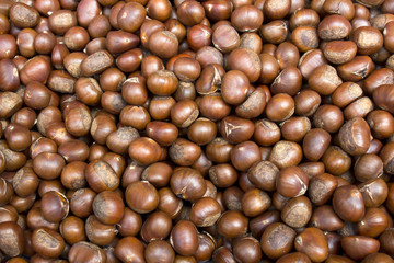 Chinese Chestnut