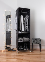 Mirror and mobile wardrobe with clothing
