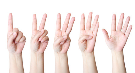 Hand make number collection