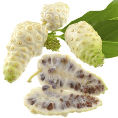 Nono, noni,  Morinda citrifolia