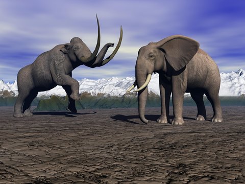 mammoth and elephant