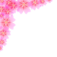 Floral pink pattern