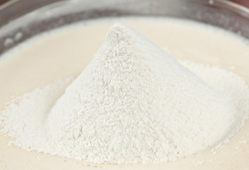 The flour is filled up in dough